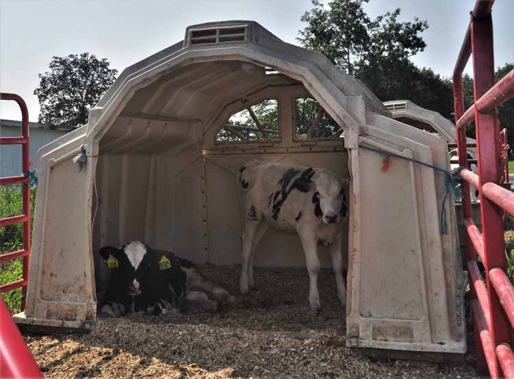 dairy farm